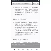 妃 えりか