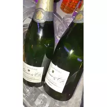 夢咲 ひめ