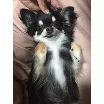 みあ