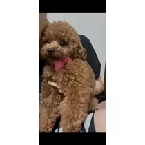 ミヅキ