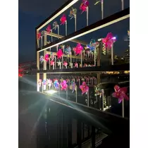 みゆ