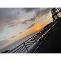 ハル