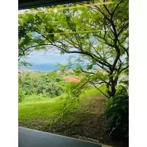 ゆかり