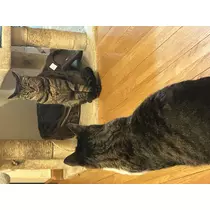 ひかる