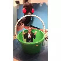 姫花