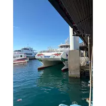 芹沢 莉瀬