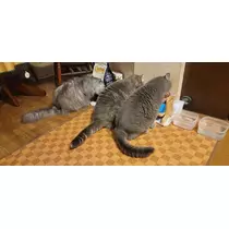 りか