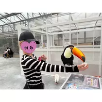 あいら