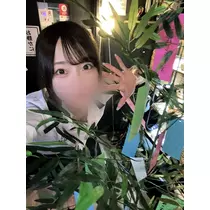 ここ