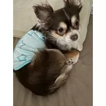 さな