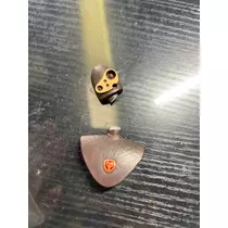 林檎