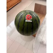 夏目 梨仔