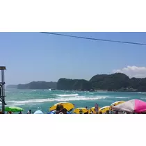 愛矢