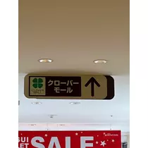 緑 四葉