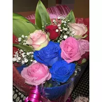 白石 愛莉