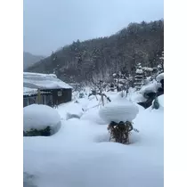 なな