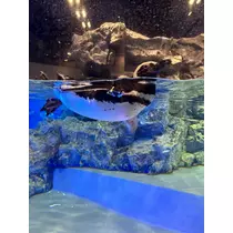 なお