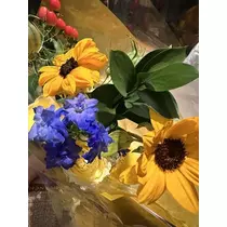 白石 愛莉
