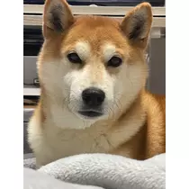 みり