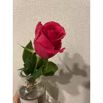 美月