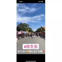 諸星 海