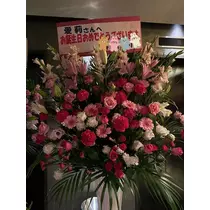 白石 愛莉