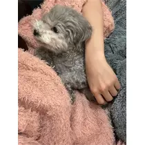 うづき ふうか