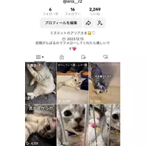佐倉 里緒