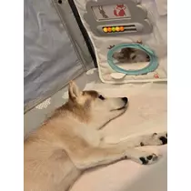 エミ （スタッフ）