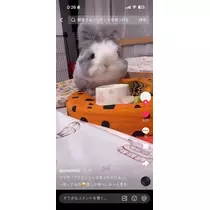 あや