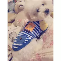 美波 なつ