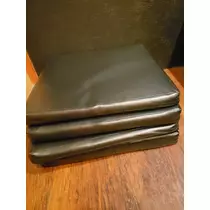 紫音