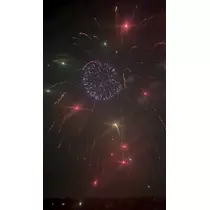 ひめ