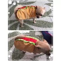 レミ