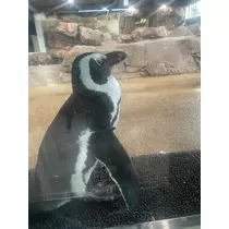 みらい