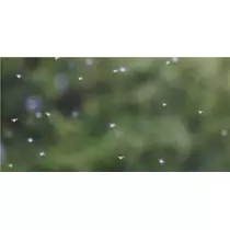 エミ （スタッフ）