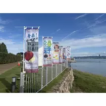 りさ