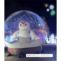 ののか
