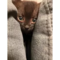 こう