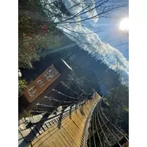 美月