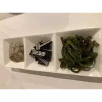宝條 夏恋