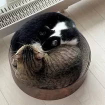 黒川 すみれ