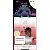 小川 真央