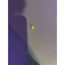 にこ