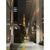 美咲 のばら