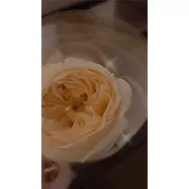 みれい