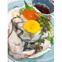 椿綺 楓