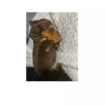 れな