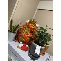 桐島 りゅう