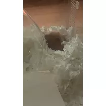 かびるんるんさわ